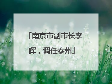 南京市副市长李晖，调任泰州