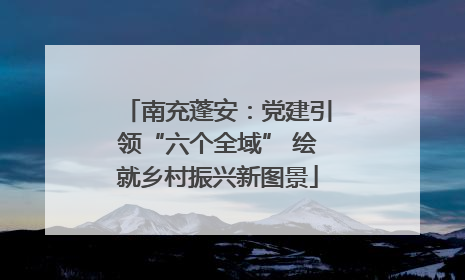 南充蓬安：党建引领“六个全域” 绘就乡村振兴新图景