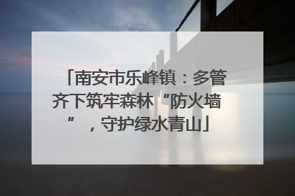 南安市乐峰镇：多管齐下筑牢森林“防火墙”，守护绿水青山