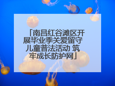 南昌红谷滩区开展毕业季关爱留守儿童普法活动 筑牢成长防护网