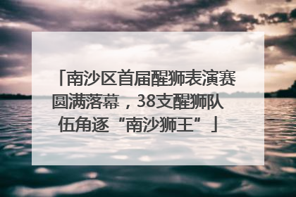 南沙区首届醒狮表演赛圆满落幕，38支醒狮队伍角逐“南沙狮王”
