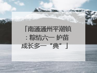 南通通州平潮镇：粽情六一 护苗成长多一“典”