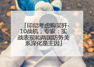 印尼考虑购买歼-10战机，专家：实战表现和两国防务关系深化是主因