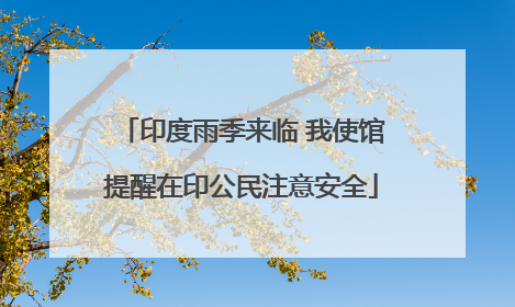 印度雨季来临 我使馆提醒在印公民注意安全