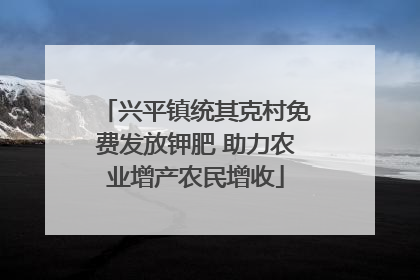 兴平镇统其克村免费发放钾肥 助力农业增产农民增收