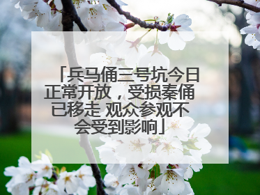 兵马俑三号坑今日正常开放，受损秦俑已移走 观众参观不会受到影响