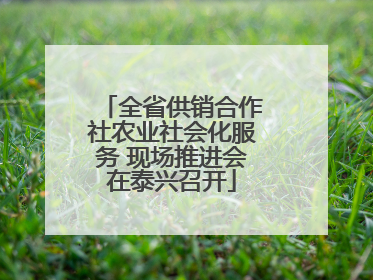 全省供销合作社农业社会化服务 现场推进会在泰兴召开
