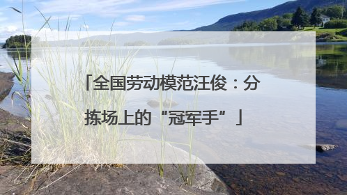 全国劳动模范汪俊：分拣场上的“冠军手”