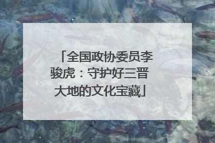 全国政协委员李骏虎：守护好三晋大地的文化宝藏