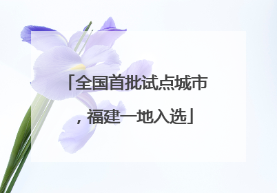 全国首批试点城市，福建一地入选