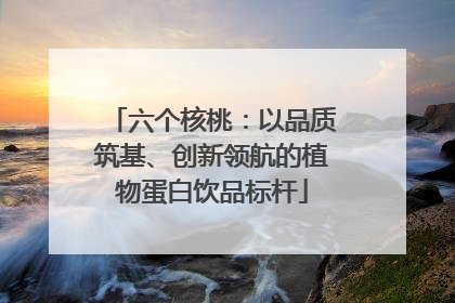 六个核桃：以品质筑基、创新领航的植物蛋白饮品标杆