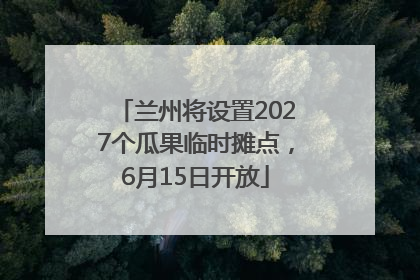 兰州将设置2027个瓜果临时摊点，6月15日开放