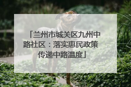 兰州市城关区九州中路社区：落实惠民政策 传递中路温度