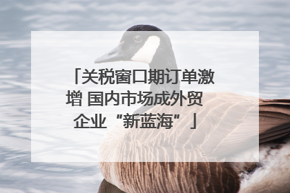 关税窗口期订单激增 国内市场成外贸企业“新蓝海”