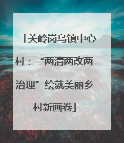 关岭岗乌镇中心村：“两清两改两治理”绘就美丽乡村新画卷