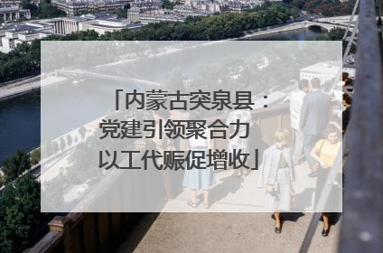 内蒙古突泉县：党建引领聚合力 以工代赈促增收