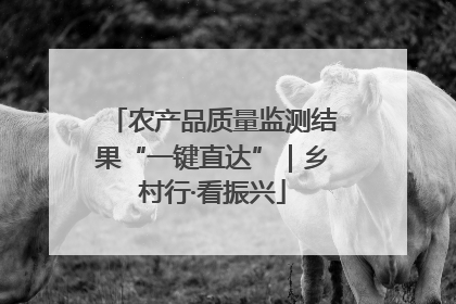 农产品质量监测结果“一键直达”｜乡村行·看振兴