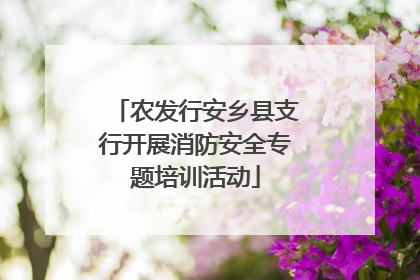 农发行安乡县支行开展消防安全专题培训活动