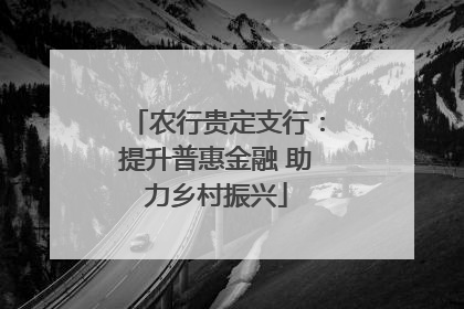 农行贵定支行：提升普惠金融 助力乡村振兴