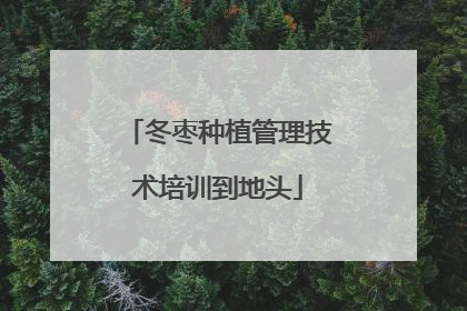 冬枣种植管理技术培训到地头