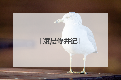 凌晨修井记