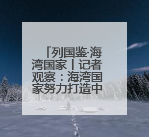 列国鉴·海湾国家丨记者观察：海湾国家努力打造中东“发展样本”