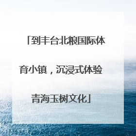 到丰台北粮国际体育小镇，沉浸式体验青海玉树文化
