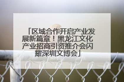 区域合作开启产业发展新篇章！黑龙江文化产业招商引资推介会闪耀深圳文博会