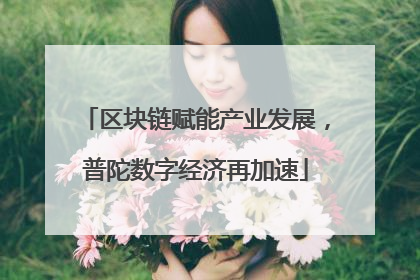 区块链赋能产业发展，普陀数字经济再加速