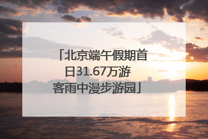 北京端午假期首日31.67万游客雨中漫步游园