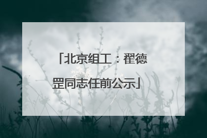 北京组工：翟德罡同志任前公示