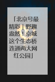 北京号最精彩｜野趣盎然！京城这个生态桥连通两大网红公园