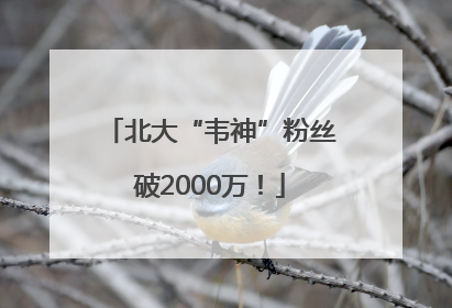 北大“韦神”粉丝破2000万！