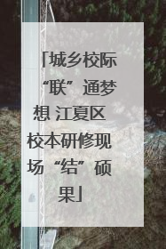 城乡校际“联”通梦想 江夏区校本研修现场“结”硕果