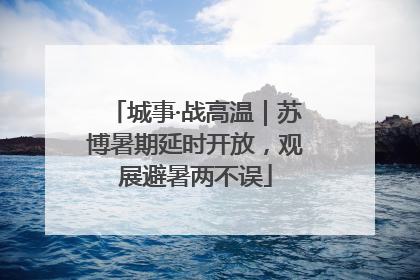 城事·战高温｜苏博暑期延时开放，观展避暑两不误