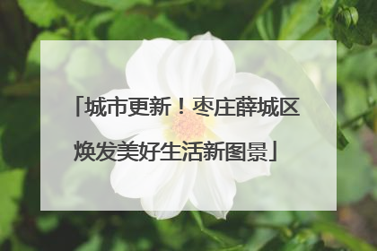 城市更新！枣庄薛城区焕发美好生活新图景