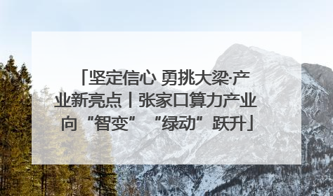 坚定信心 勇挑大梁·产业新亮点丨张家口算力产业向“智变”“绿动”跃升
