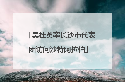 吴桂英率长沙市代表团访问沙特阿拉伯