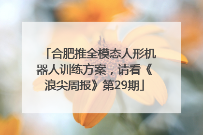 合肥推全模态人形机器人训练方案，请看《浪尖周报》第29期