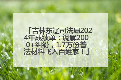 吉林东辽司法局2024年成绩单：调解2000+纠纷，1.7万份普法材料飞入百姓家！