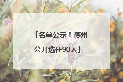 名单公示！德州公开选任90人