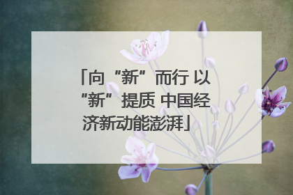 向“新”而行 以“新”提质 中国经济新动能澎湃