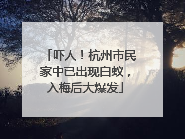 吓人！杭州市民家中已出现白蚁，入梅后大爆发