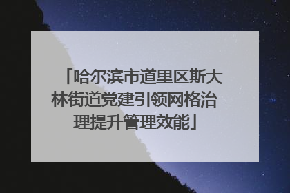 哈尔滨市道里区斯大林街道党建引领网格治理提升管理效能