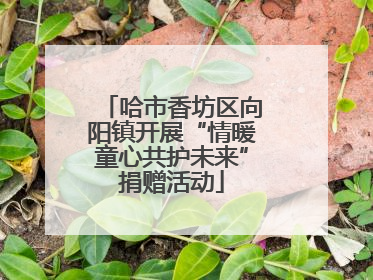 哈市香坊区向阳镇开展“情暖童心共护未来”捐赠活动
