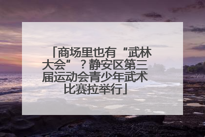 商场里也有“武林大会”？静安区第三届运动会青少年武术比赛拉举行