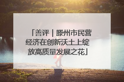 善评｜滕州市民营经济在创新沃土上绽放高质量发展之花
