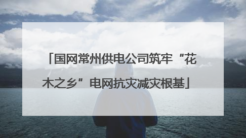 国网常州供电公司筑牢“花木之乡”电网抗灾减灾根基