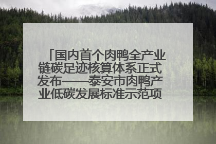 国内首个肉鸭全产业链碳足迹核算体系正式发布——泰安市肉鸭产业低碳发展标准示范项目顺利通过验收