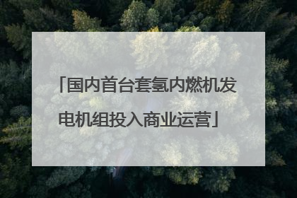 国内首台套氢内燃机发电机组投入商业运营